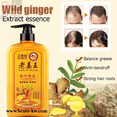 I MEI SI King of Ginger Shampoo (500ml)