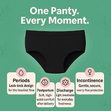 Fabpad Reusable Leak Proof Period, Urine incontinence, Postpartum Panties/Underwear lasts for up to 3 Years - made for heaviest of flow days