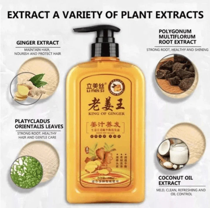 I MEI SI King of Ginger Shampoo (500ml)